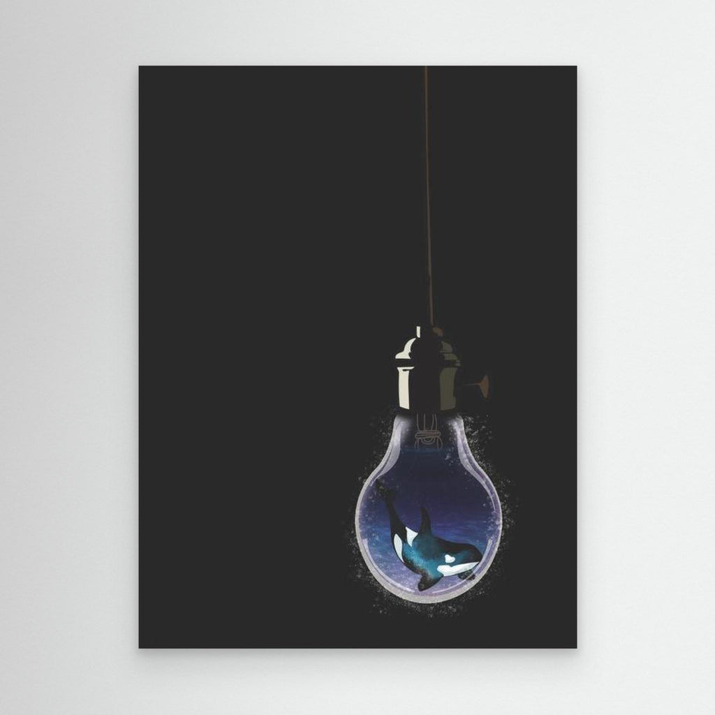 A ight in the Dark- Orca