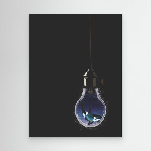 A ight in the Dark- Orca