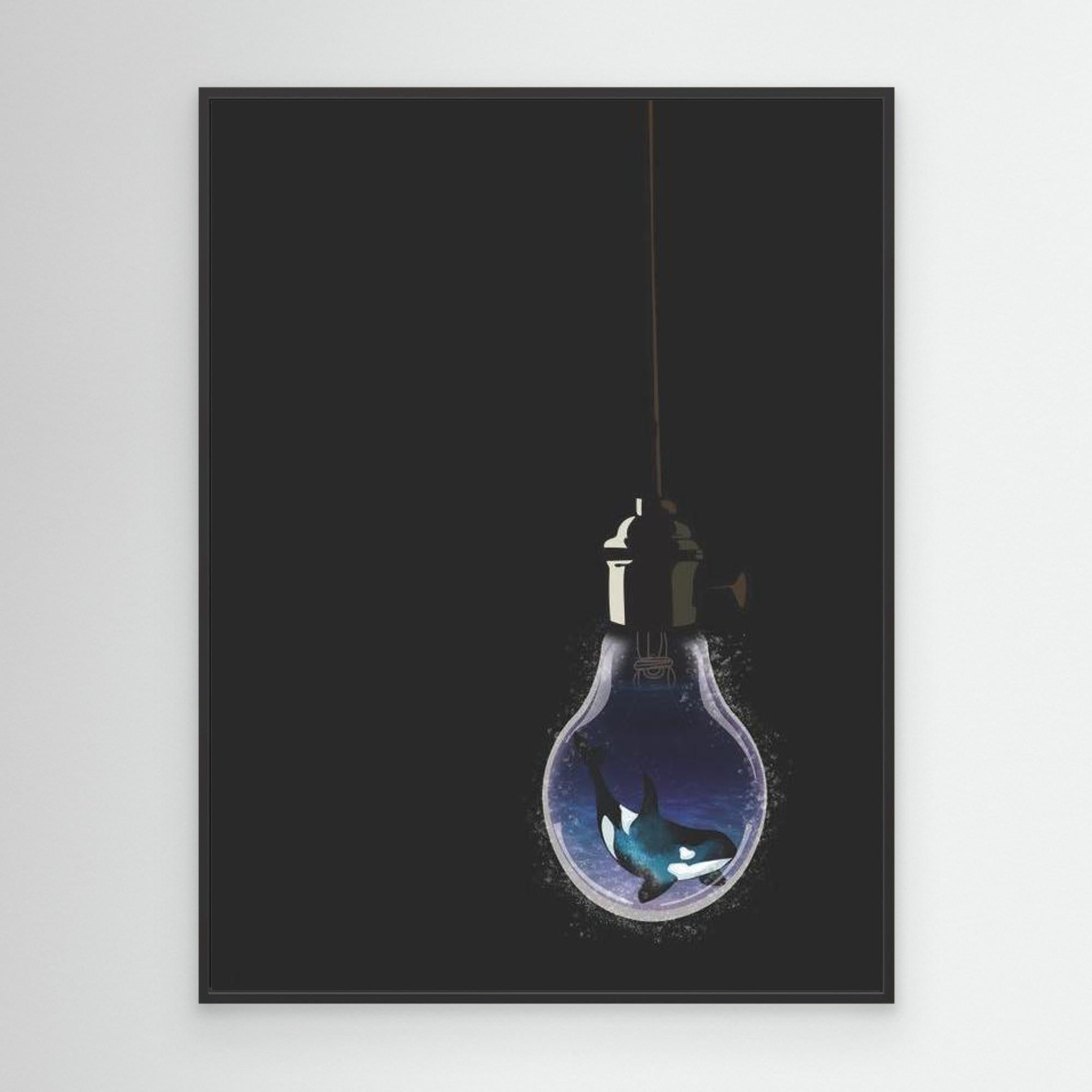 A ight in the Dark- Orca