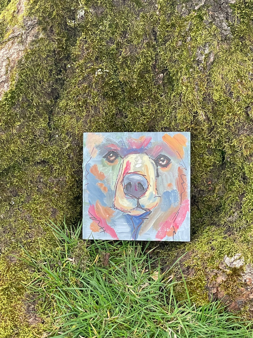 Solemn Grace - Grizzly Study