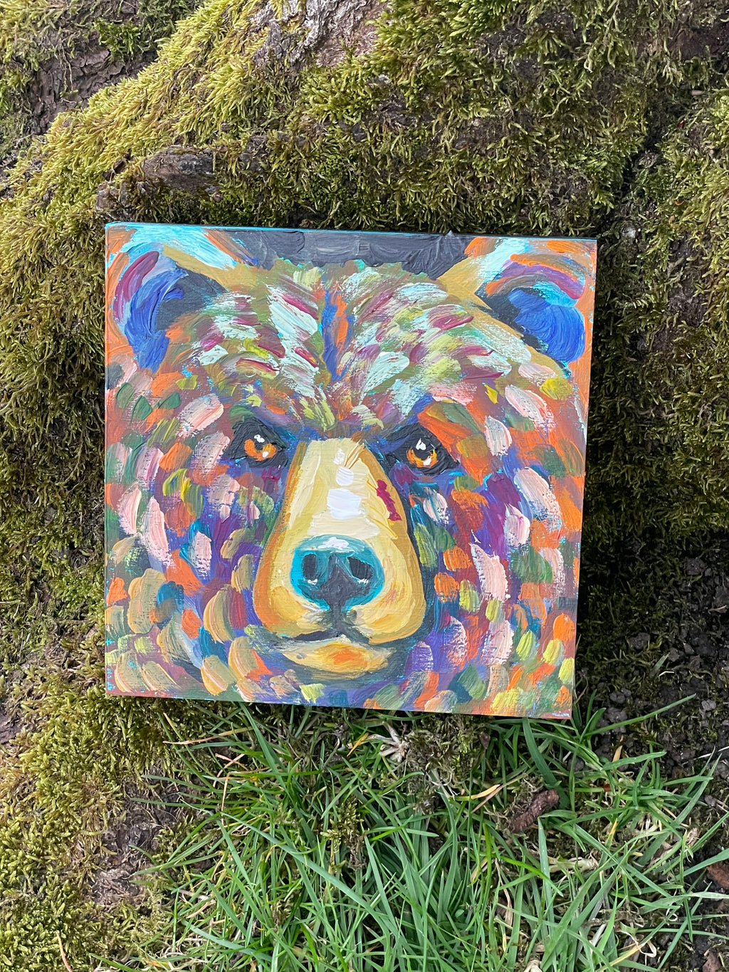 Bright Eyes - Grizzly Study