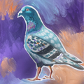 The Misunderstood One - Pigeon Original