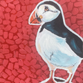 The Playful One - Puffin Original Painting