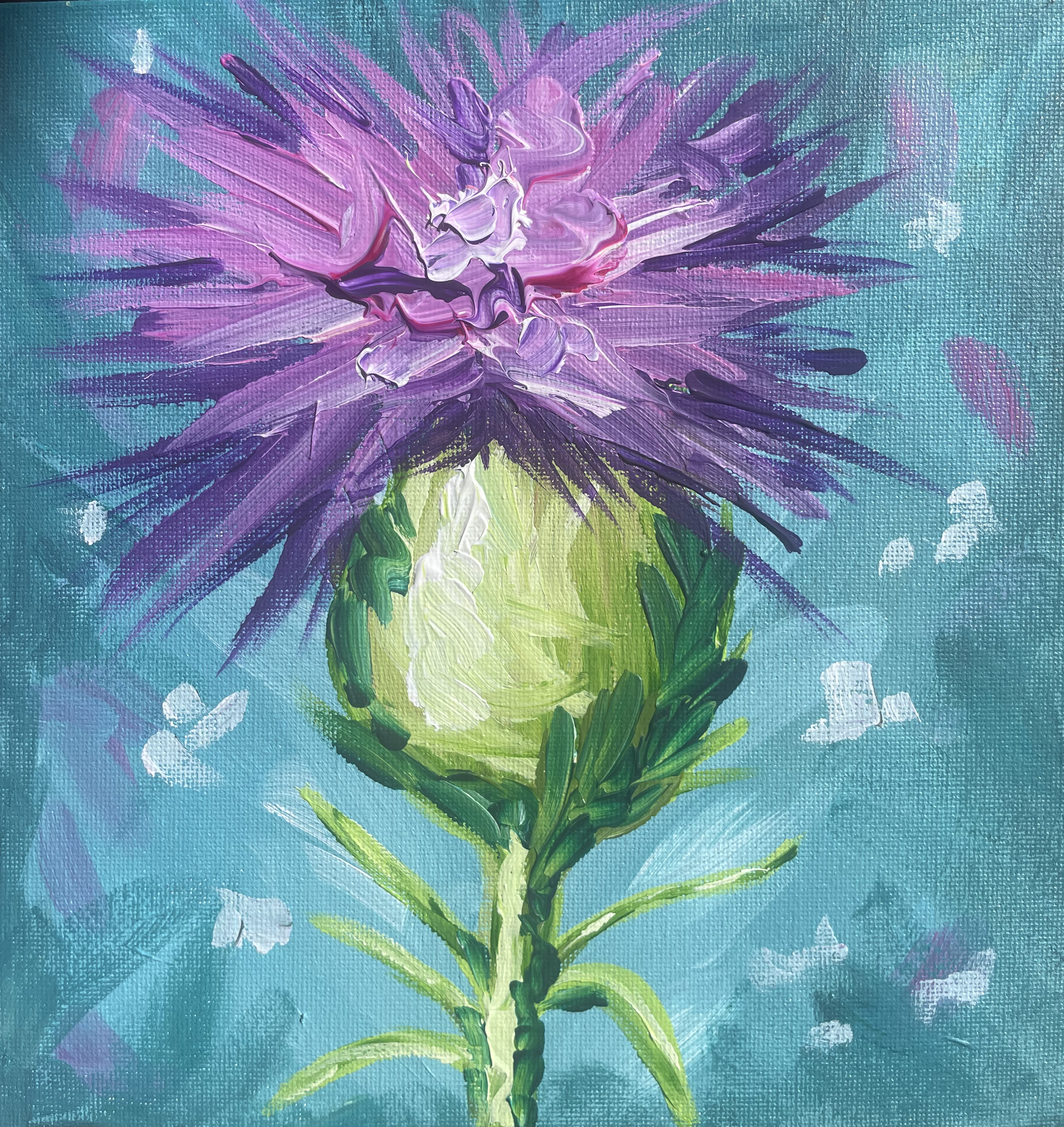 Thistle Study 1