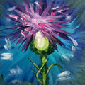 Thistle Study 2