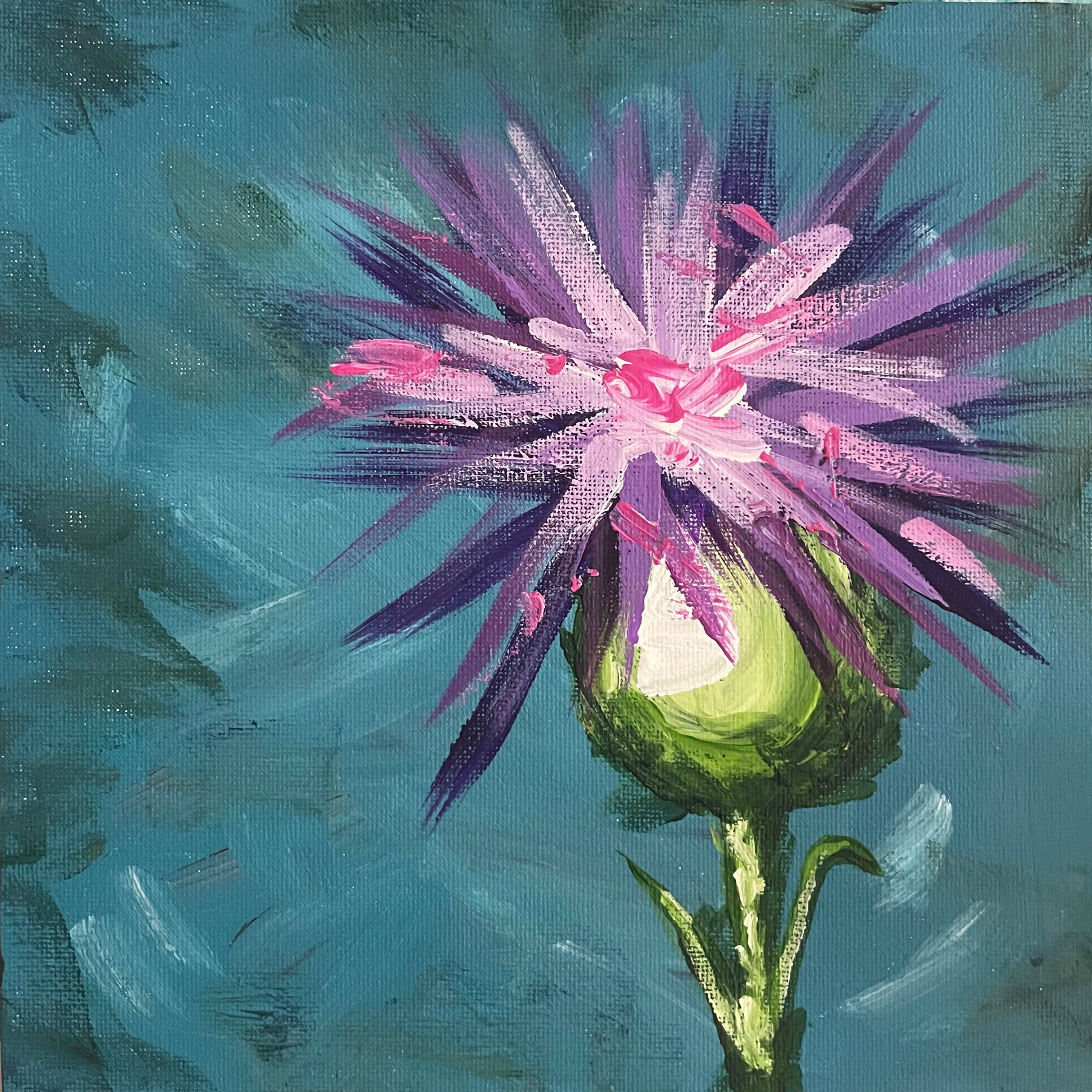 Thistle Study 3