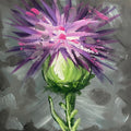 Thistle Study 4