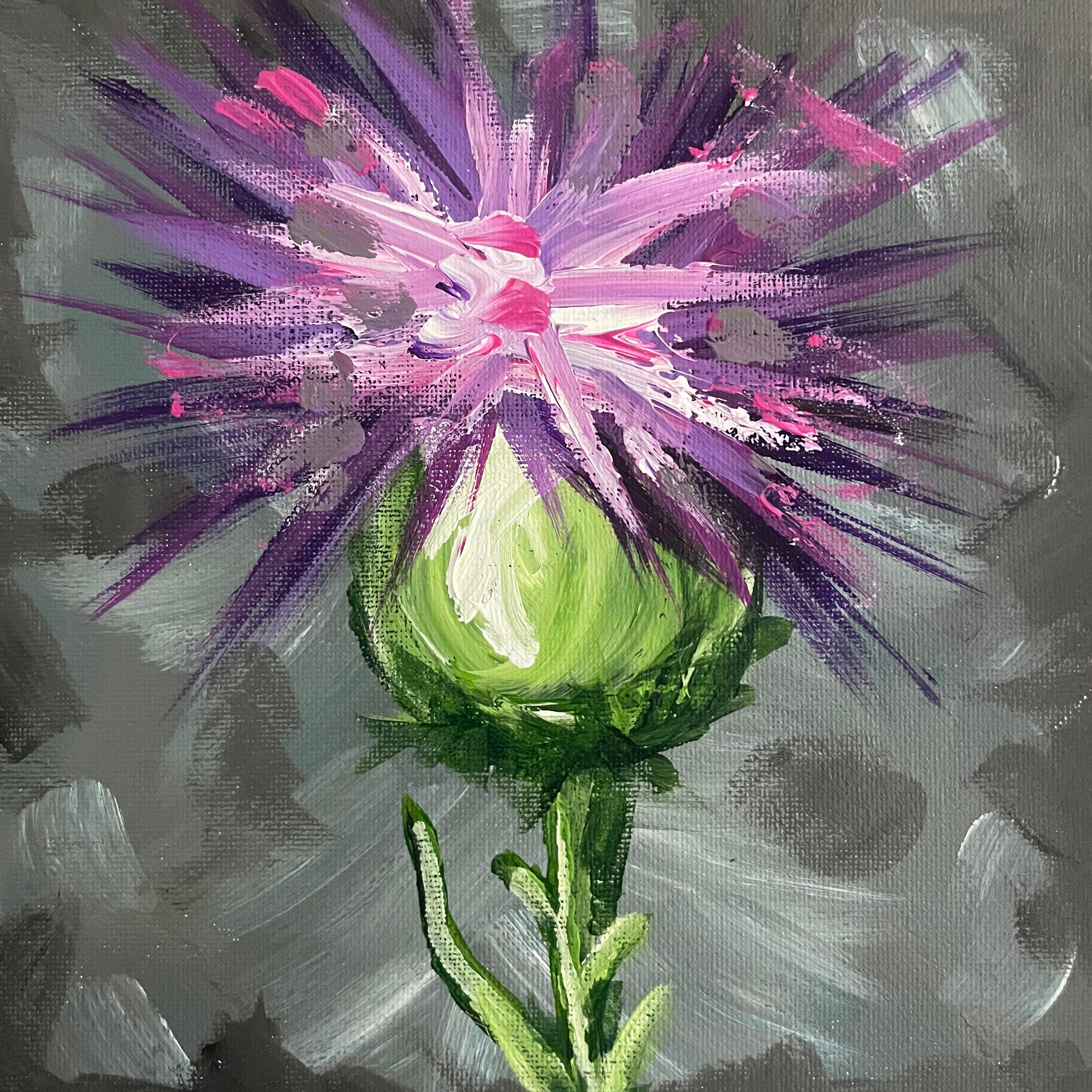 Thistle Study 4
