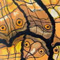Becoming Butterflies #1 Vindula Erota