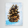 The Layers of a Pinecone