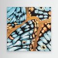 Becoming Butterflies #2 White Peacock Butterfly Canvas Print