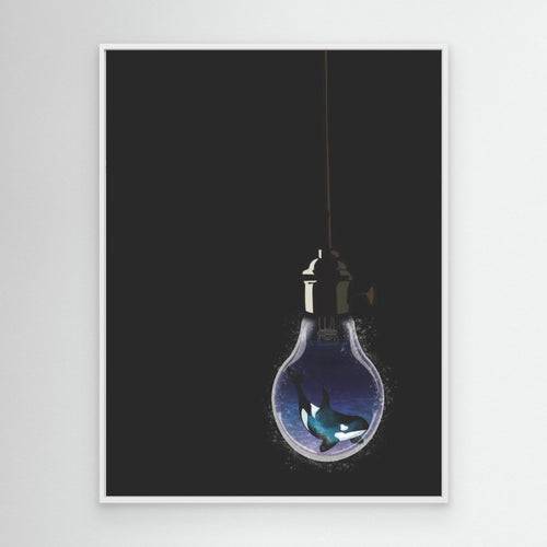 A ight in the Dark- Orca